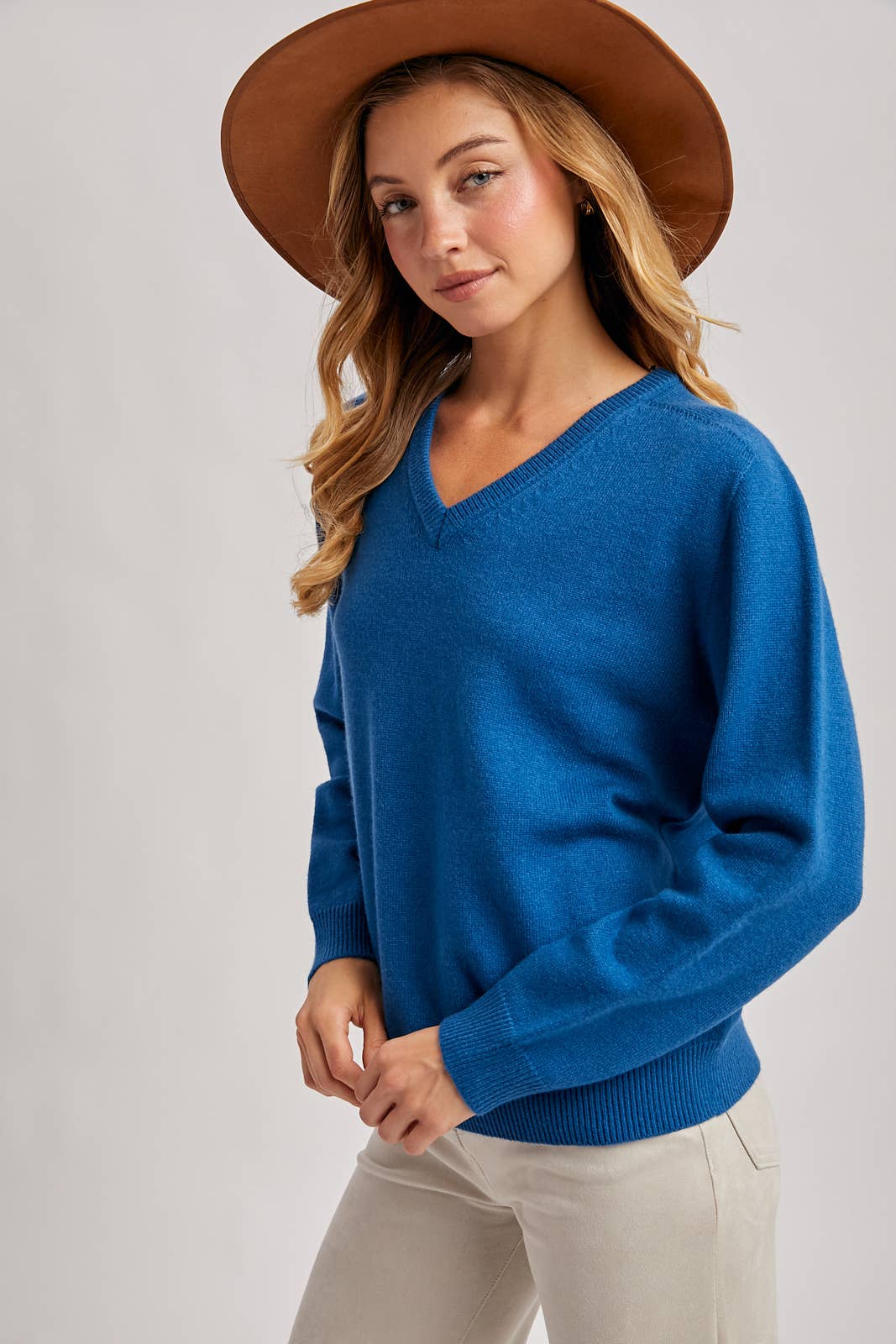 Blu Ivy V-Neck Knit Sweater