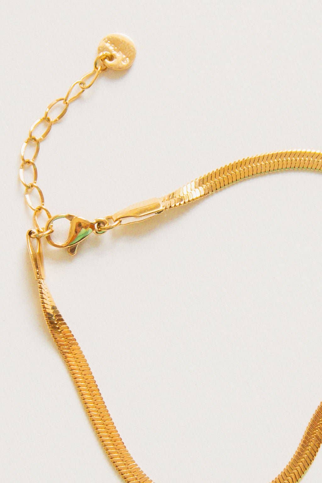 Shop Andi - Snake Chain Bracelet