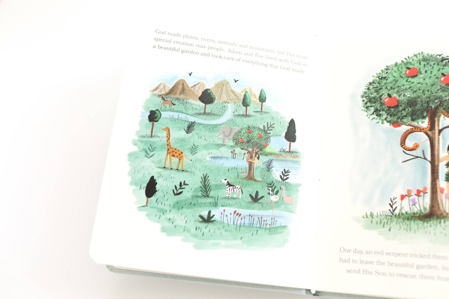 Paper Peony Press-Baby's First Bible Book