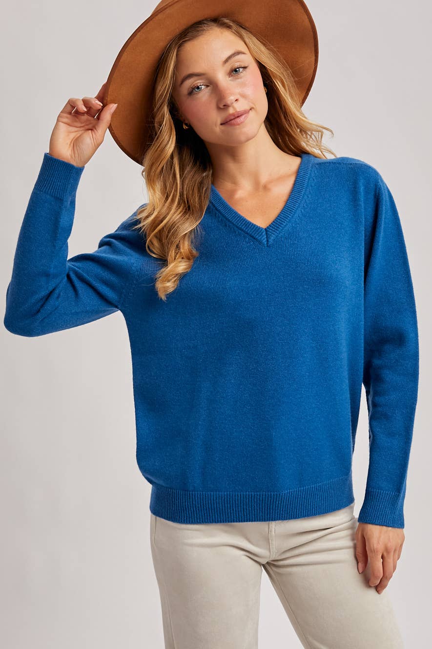 Blu Ivy V-Neck Knit Sweater