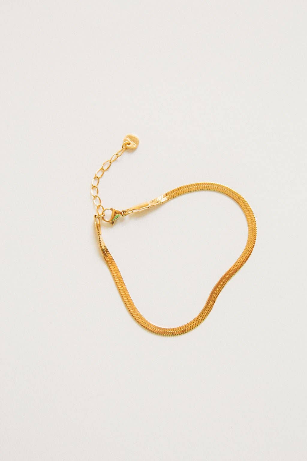 Shop Andi - Snake Chain Bracelet