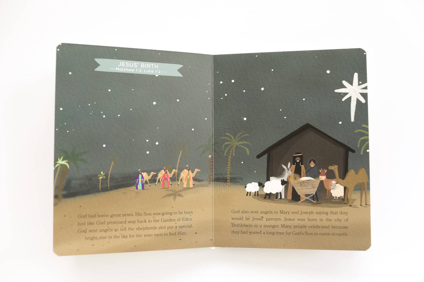 Paper Peony Press-Baby's First Bible Book
